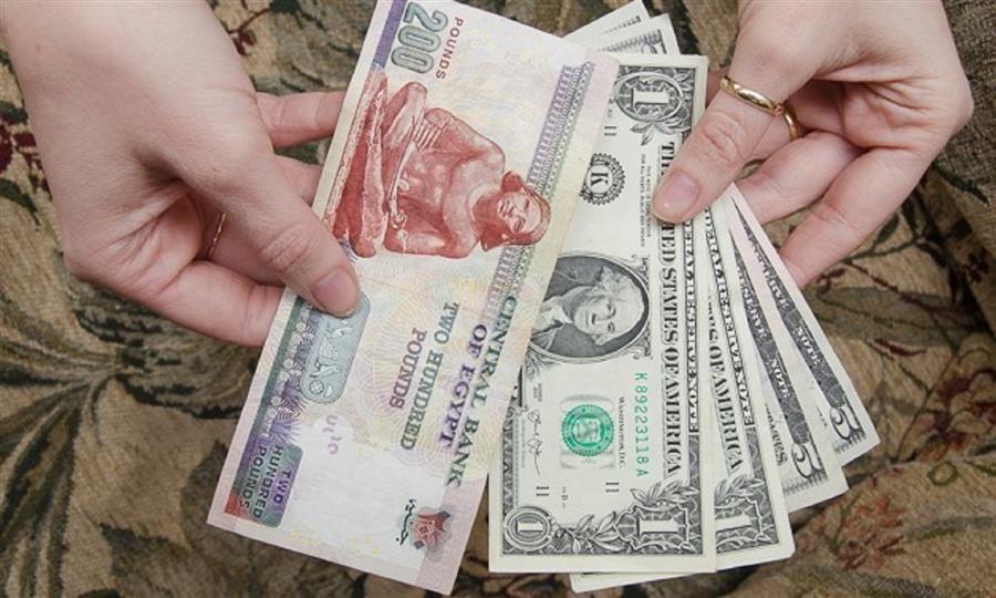 US dollar trades above EGP 53.5 at local banks

